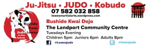lewes judo-banner